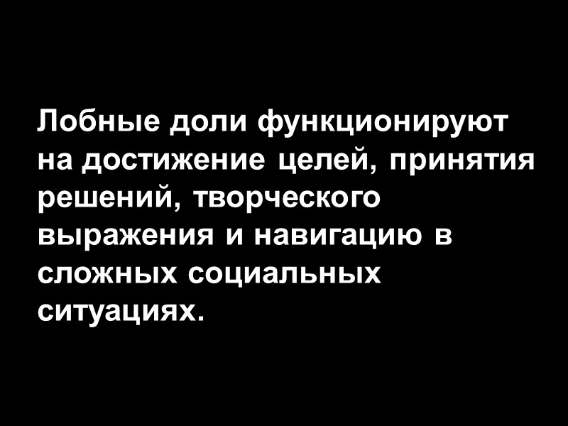 Лобные доли функционируют на достижение целей, принятия решений, творческого выражения и навигацию в сложных